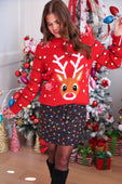 Reindeer Holiday Sweater