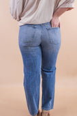 Juliana Medium Distressed Straight Jeans