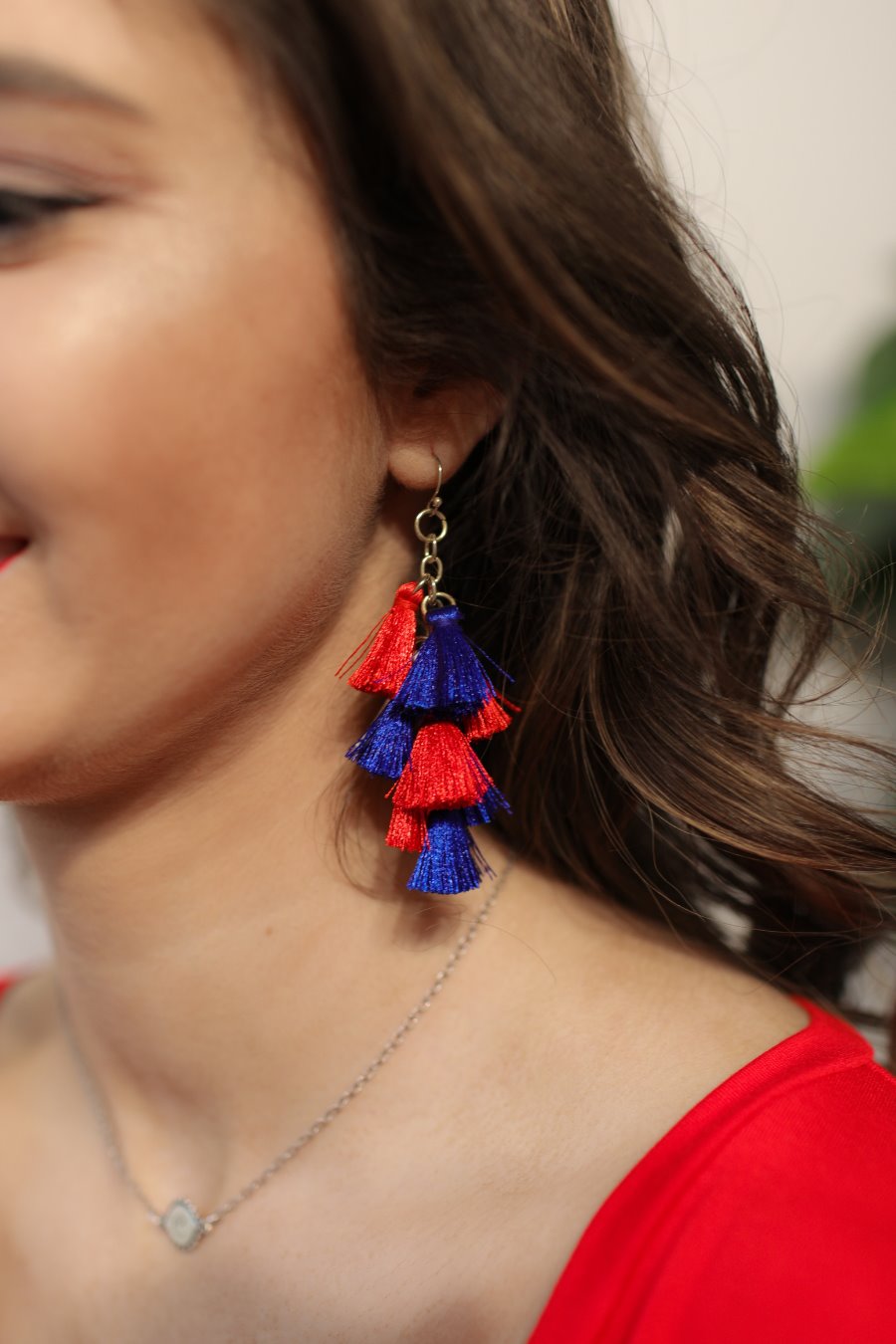 Firework Tassel Earrings Lea Boutique