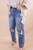 Juliana Medium Distressed Straight Jeans