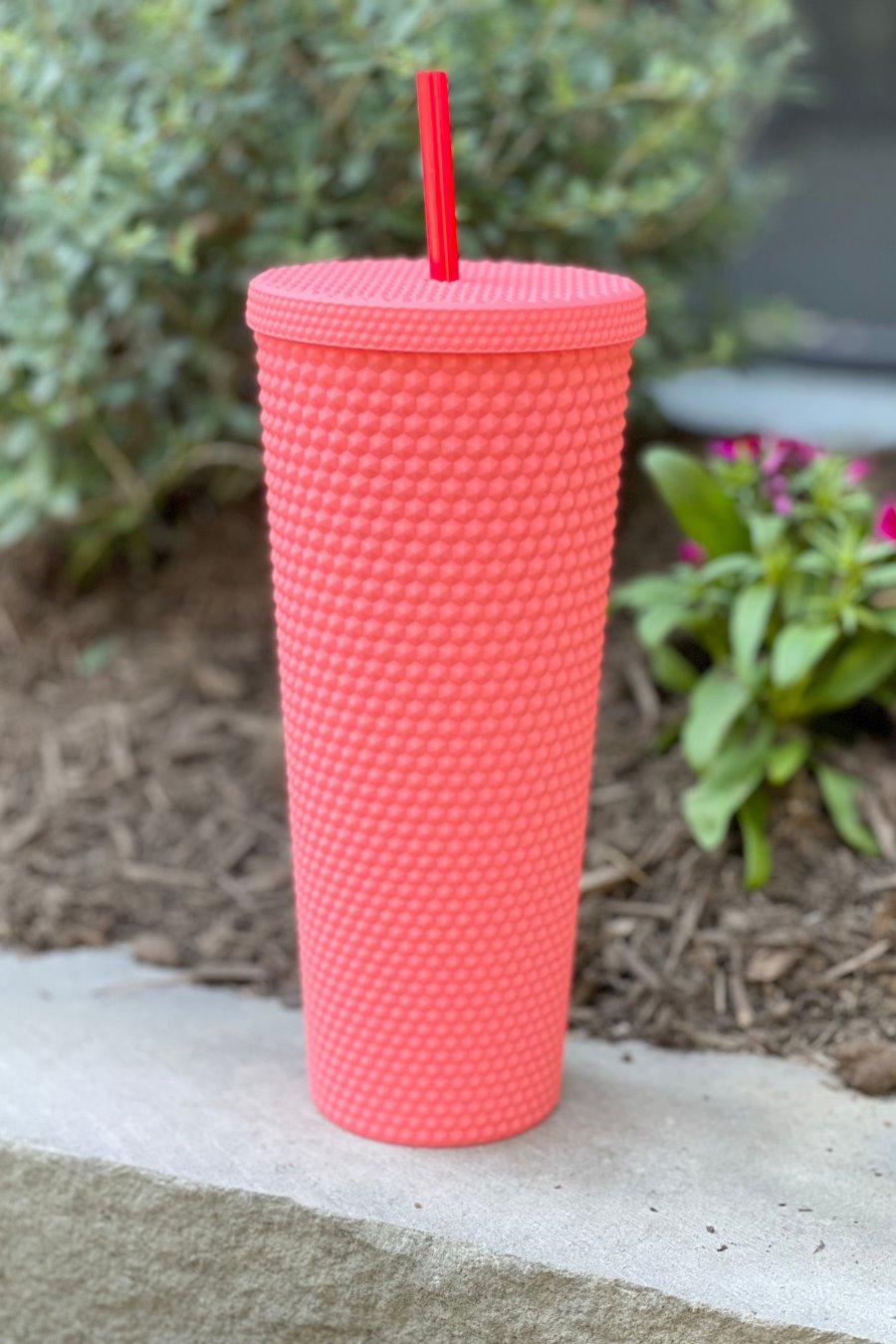 Studded Tumbler Cup